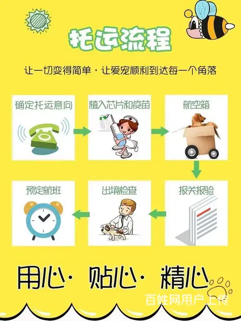 资阳安岳周边宠物托运（猫狗活体快递）陆运 空运至全国 - 图片 1