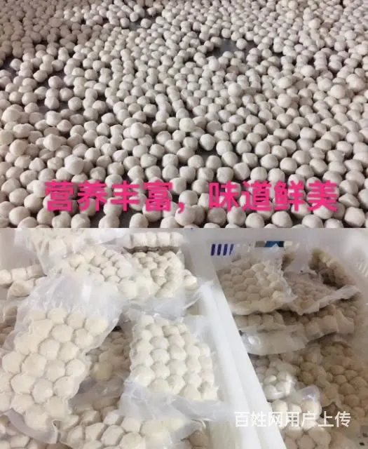 北海鳗鱼丸子马鲛鱼丸批发工厂批发 - 图片 6