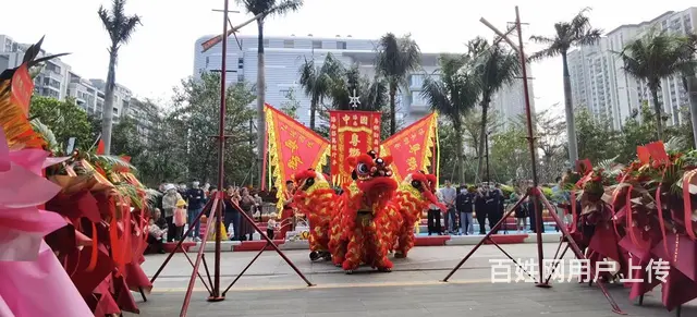 开业庆典/舞龙舞狮 - 图片 4