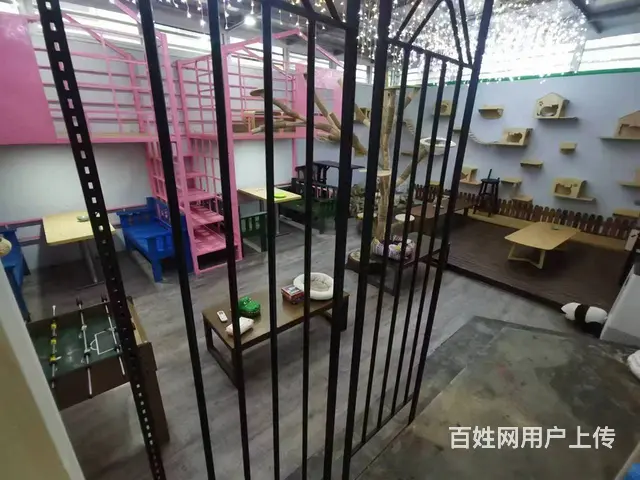 急转：黄金位置私人影院低价转让营业中…… - 图片 7