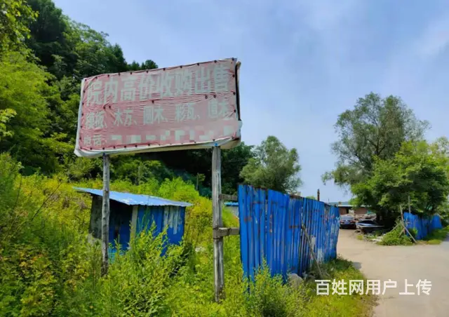 顺城辽宁省木托盘木制品道木圆木雷子废旧木材回收 - 图片 2