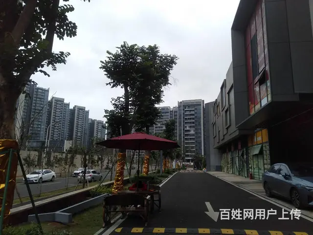 （51旺铺推荐）秀英长流韶阳街32平生鲜便利店转让 - 图片 11