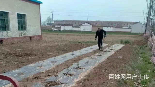 浏阳到长沙网约车拼车商务车私家车小车队电话‌ - 图片