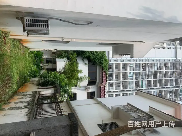 （三横王）龙昆南大润发  400平别墅出租 - 图片 12