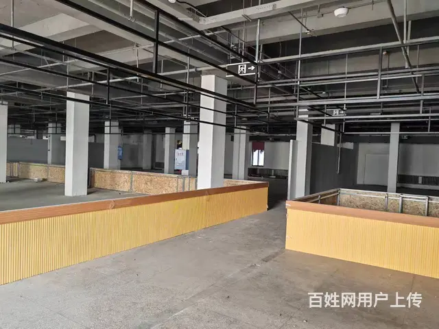 【搞定了！】南直路与公滨路交口3000平纯1层整租分租 - 图片 9