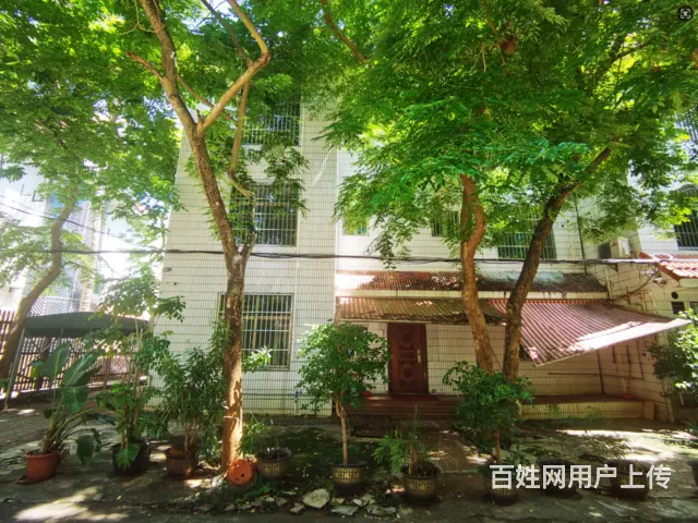 （51旺铺推荐）海甸岛海达路兴庆园小区490平别墅出租 - 图片 4
