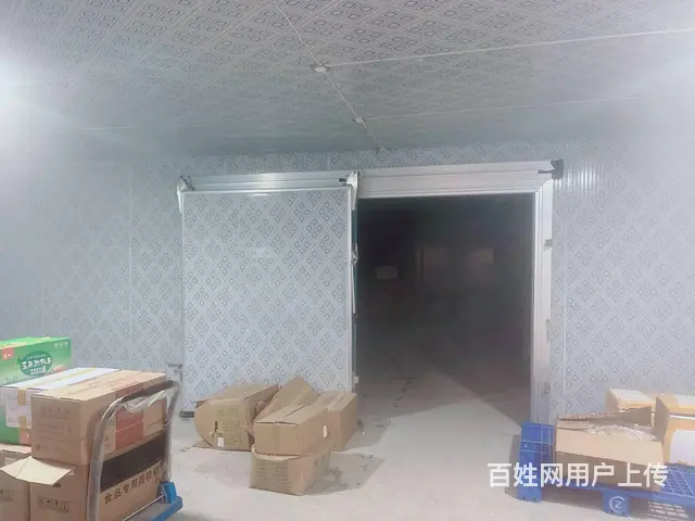 （老板本人）开福区捞刀河街道自建仓库➕冷冻库出租6856 - 图片 6