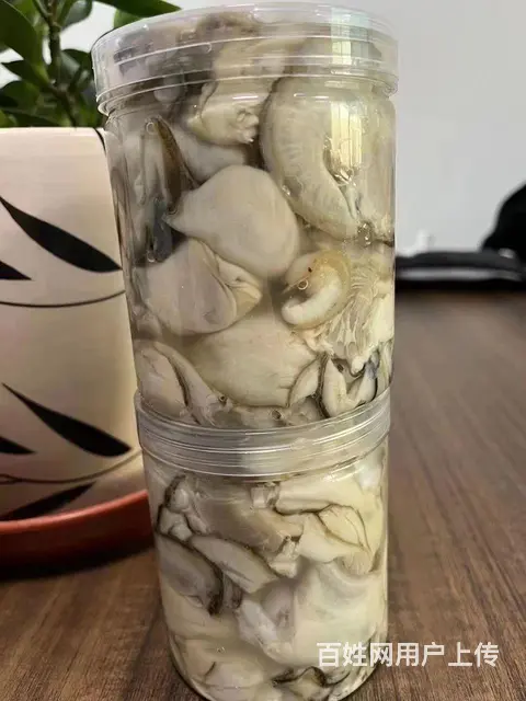乳山生蚝  生蚝肉批发  零售  水产批发零售 - 图片 2