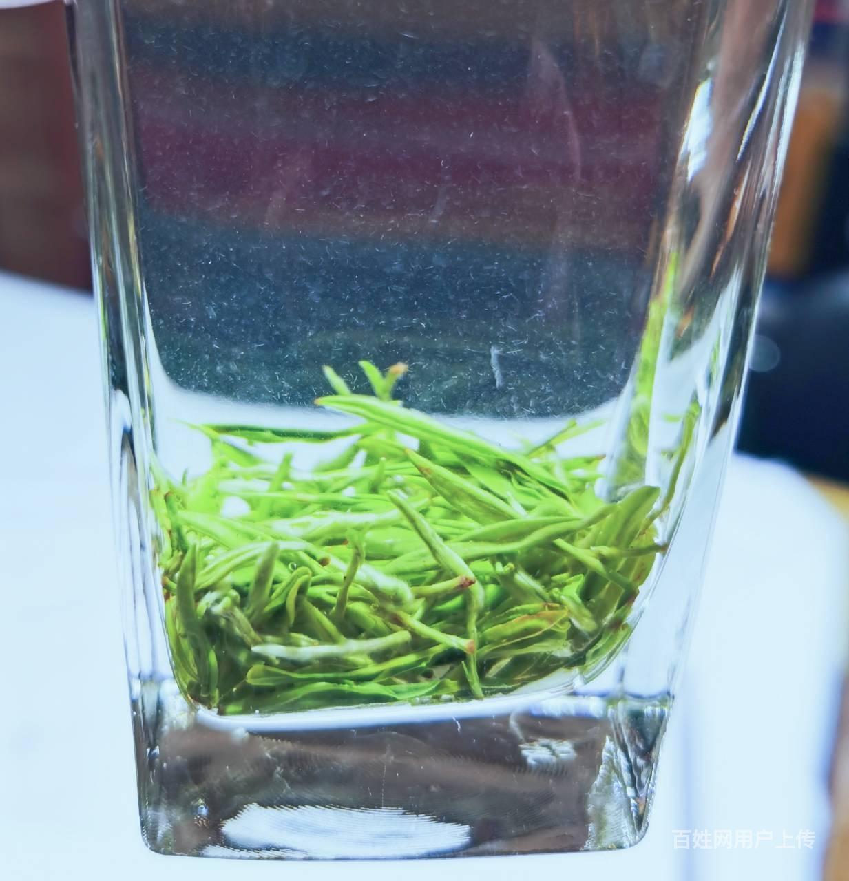 竹山圣水明前绿茶批发