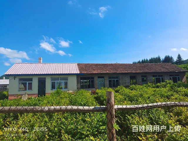 平房出售，蓝莓树出售 - 图片 1