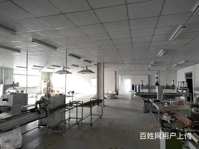 （新房源）羊亭独门独院新钢结构厂房招租 - 图片 7