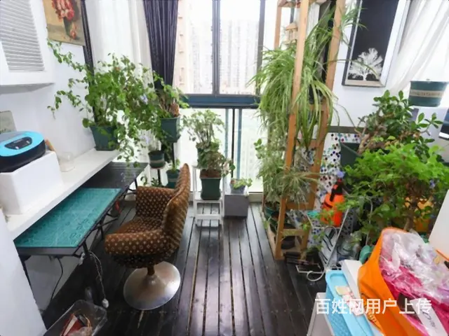 重点推荐,房主急售 精装修多蓝水岸302.00万元 - 图片 11