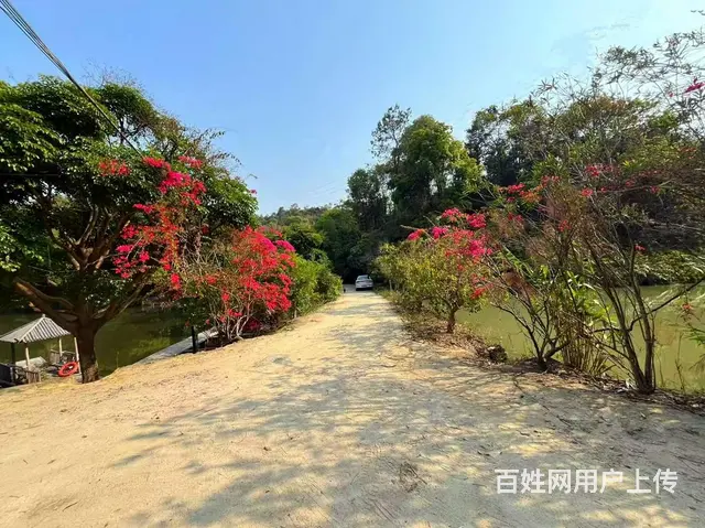 从化区鳌头有38庄园鱼塘民宿餐馆山庄整体出租 - 图片 8