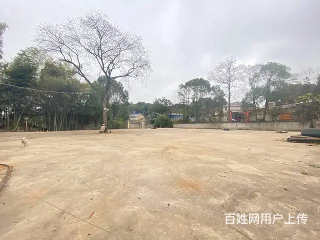 (房东直租)开福区汉回2000平硬化场地，带住房优价出租 - 图片 8