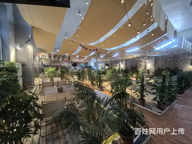 浑南白塔堡露营主题烧烤店出兑： - 图片 7
