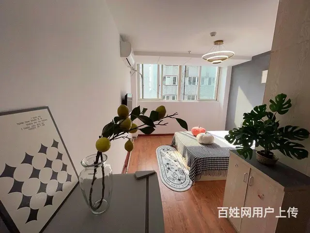 月河历史街 同乐商务大厦 城北路精装一室 免费停车多套的图片