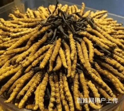 安陆市高价回收茅台酒电话大量回收茅台酒 - 图片 3