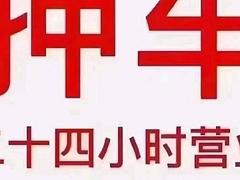 押车父母车，车辆抵押，以租代购，公司户