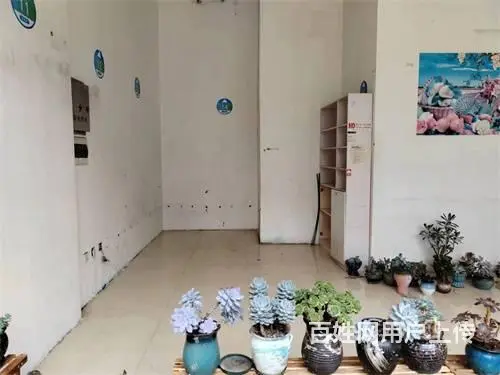 丰满区龙湾雅苑小区内门市出售 - 图片 7
