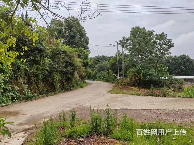 （老板本人）岳麓区雷锋镇黄桥大道附近整栋厂房房东直租6851 - 图片 10