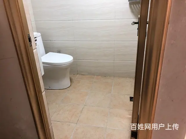保税区华美空间旁古龙公寓两房出租 - 图片 6