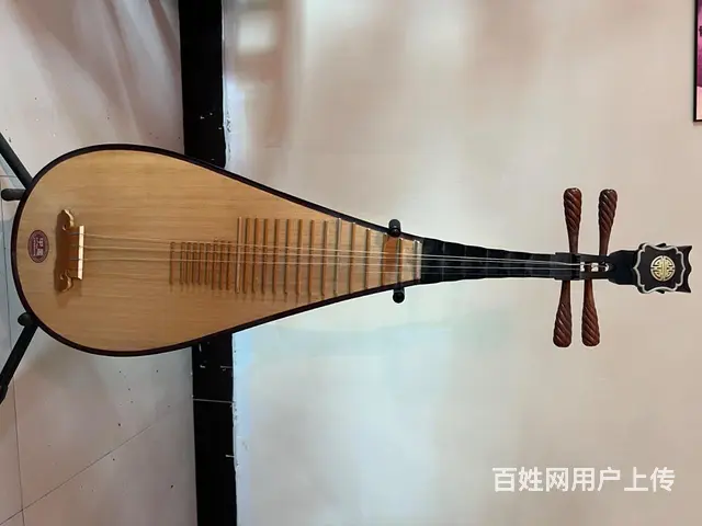 成人琵琶闲置 - 图片 1