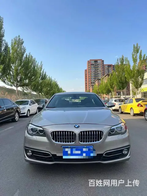 宝马5系 2014款 525Li 2.0T 手自一体 豪华设 - 图片 2