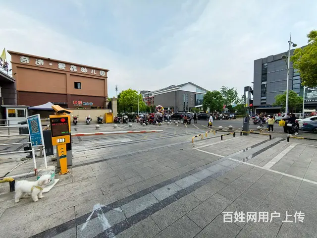 旺铺居）幼儿园小学初中大门正对面自带客源空铺转让 - 图片 3