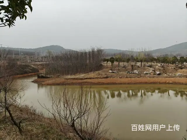 （徐州找店网）贾汪大洞山风景区农家乐生态园出租 - 图片 5