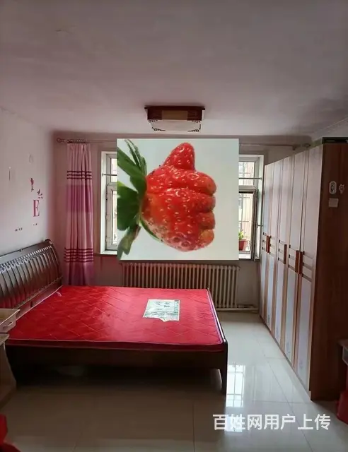 北岸新城 普通住宅 简单装修 - 图片 1