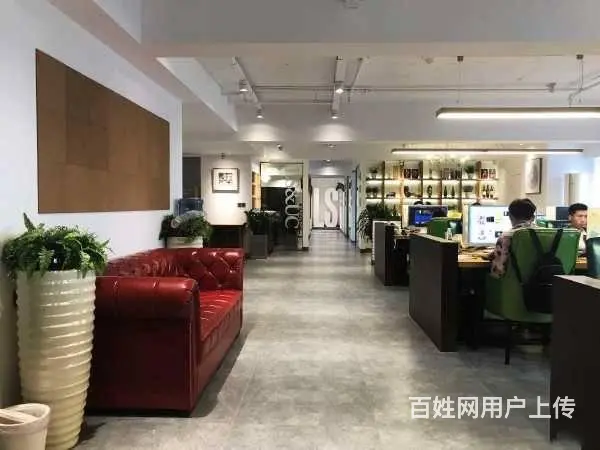 （达州铺源网）西外红星美凯龙310㎡办公室出租 - 图片 1