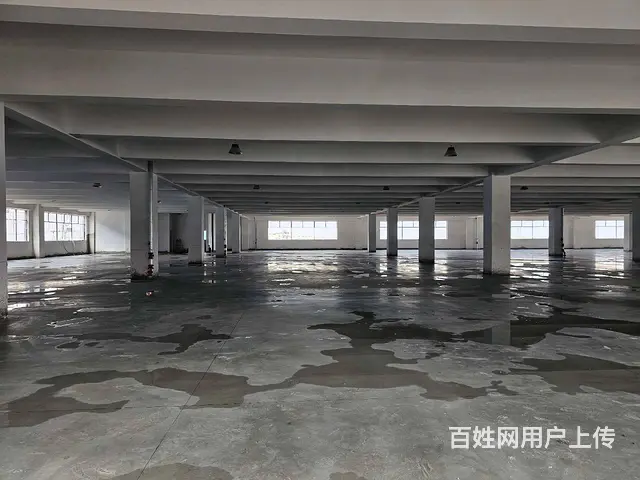 董浜全新厂房1至4层14000平，可分租，高8米，随时可用。 - 图片 6