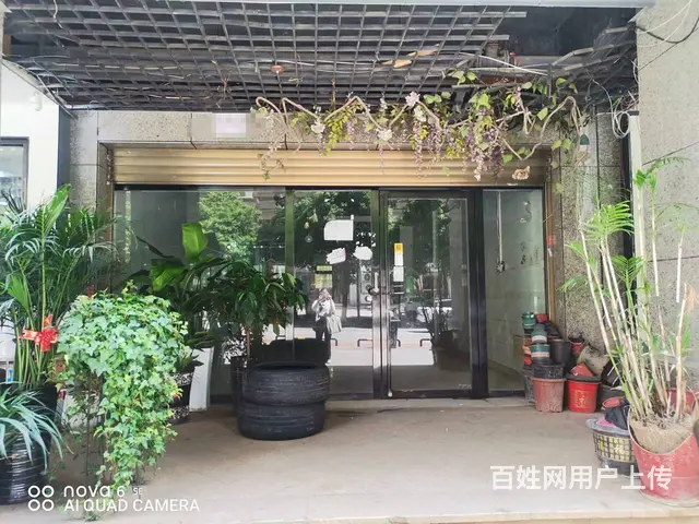 （老板本人）学校旁临街精装门面房东直租  6452 - 图片 6