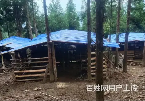 长沙到常德拼车商务车网约车电话 - 图片