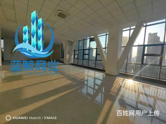 金开区软件园1000平整层办公楼出租 - 图片 8