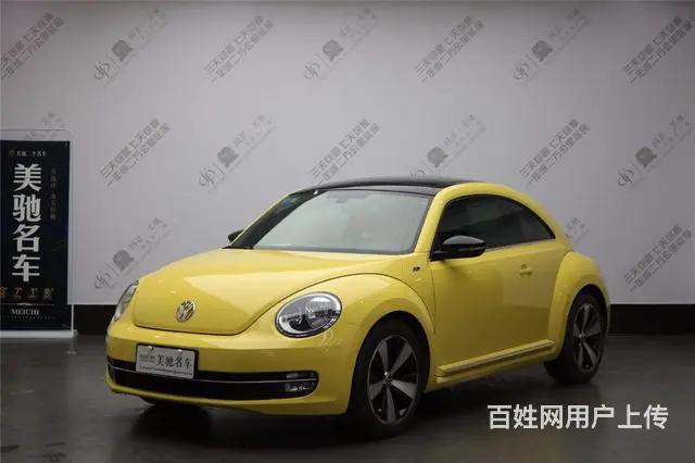 大众甲壳虫掀背 [进口] 2013款 2.0T 自 - 图片 1