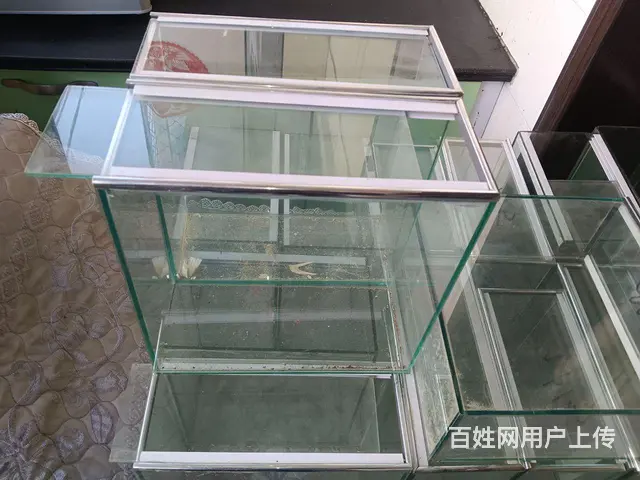 玻璃刚子 - 图片 2