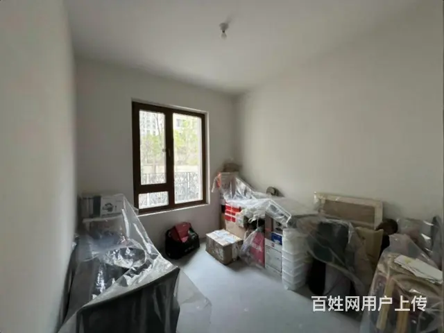 上新外滩首.府1带2下叠  带花园 毛坯 价可谈  有车位 - 图片 9