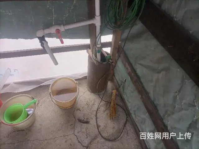 鹤北中央直属局北侧住房猪舍出卖 - 图片 2