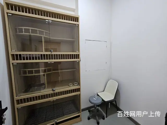 北湾新城小区宠物店出兑转让 宠物店洗洗澡出兑转让证件齐全 - 图片 9