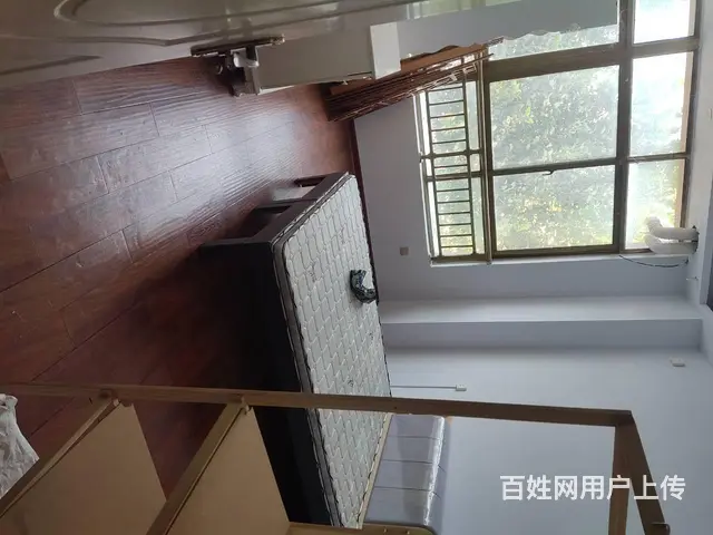 4183文化路归德路交叉口附近营业中烟酒店转让 - 图片 12