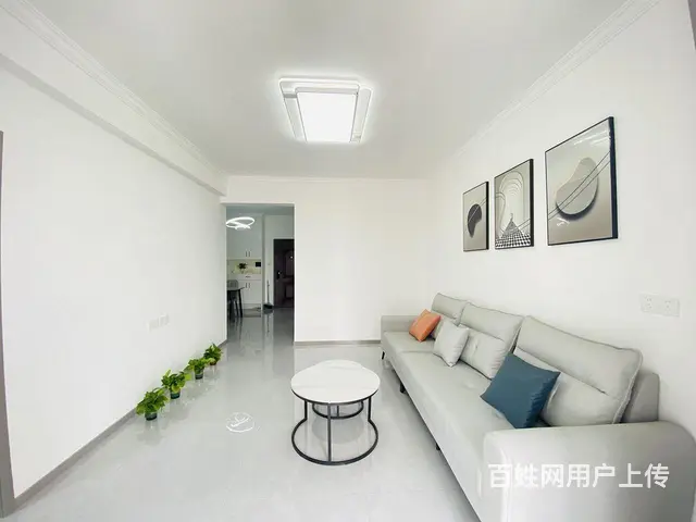 园林路地铁口 金地广场 徐东 大洲星城房东自住三房 - 图片 3