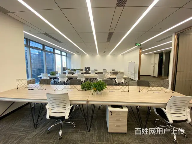 未来科技城，欧美金融城，精装拎包入住，采光通透，房东直租！ - 图片 6