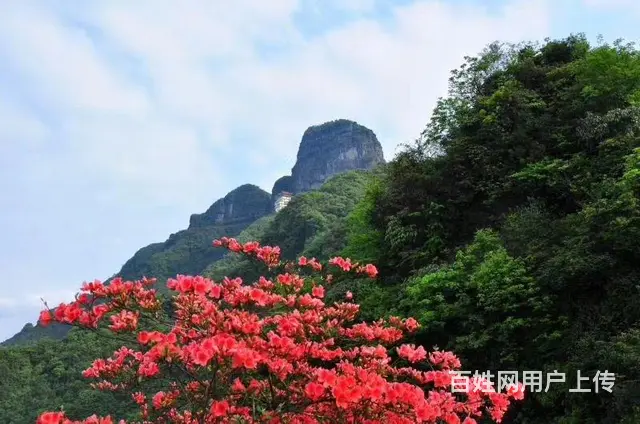 桐梓避暑房尧龙云海-重庆2小时直达 - 图片 6