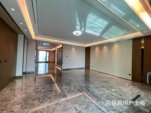 汉街SKP 融创壹号院 御湖世家 4房3卫 方正客 - 图片 8