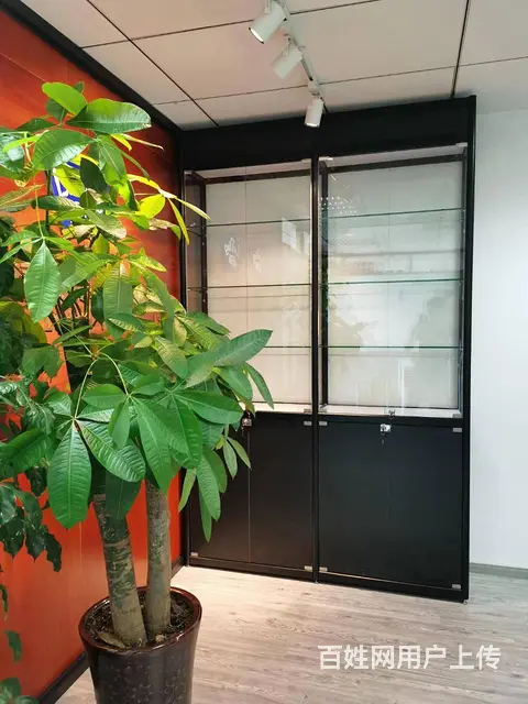装饰柜手办展示柜模型柜乐高置物柜定制玻璃展柜 - 图片 7
