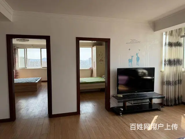 【搞定了！】出租两室两厅的电梯房 - 图片 1