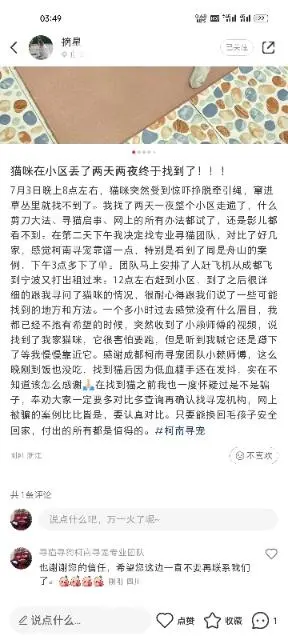 北京寻猫团队，北京找猫团队，北京同城寻宠物 - 图片 1