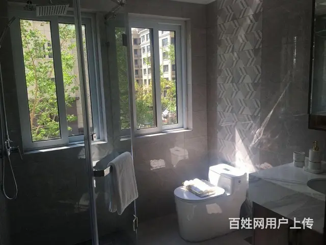 东方御景地铁凤鸣海第七师大开元物业还有洋房 - 图片 5