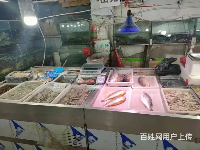 哈西农贸市场内活鱼海鲜摊位出兑 - 图片 3